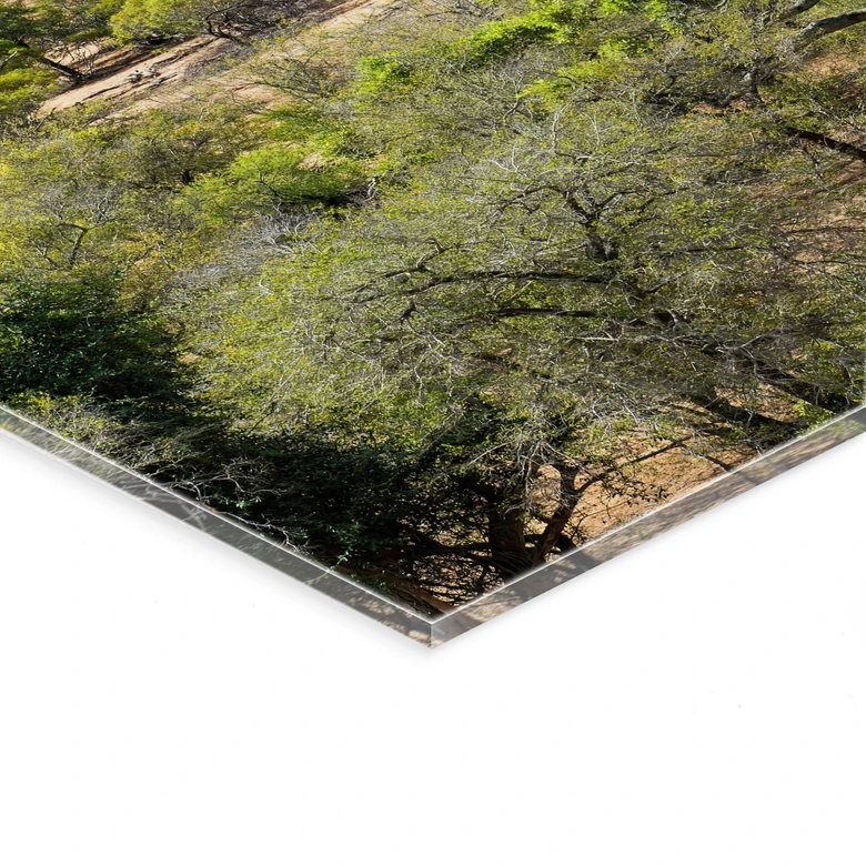 Acrylglasbild Savannenlandschaft in Afrika - Hugonnard 