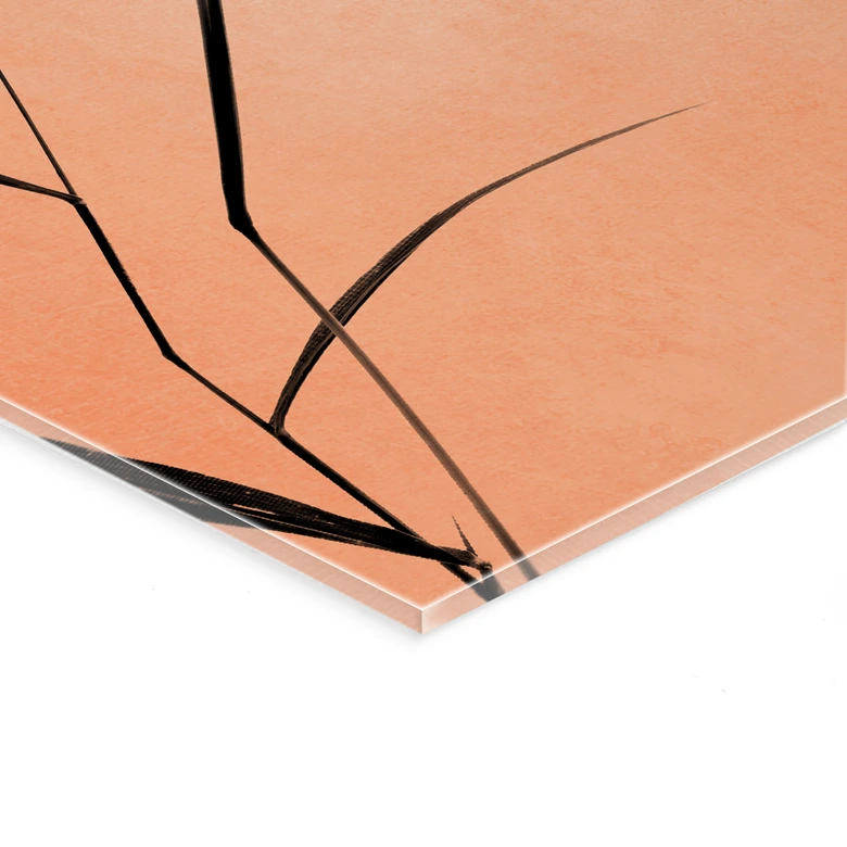 Akrylbillede Siv i ferskenfarvet solskin - Kubistika 