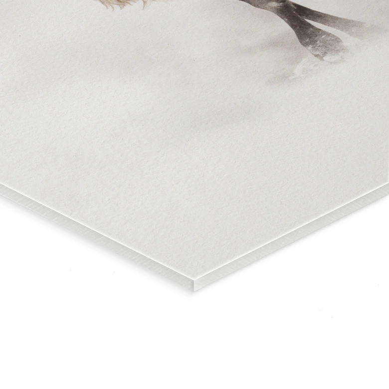 Tableau en verre acrylique Cerf dans l'hiver blanc - Magnusson 