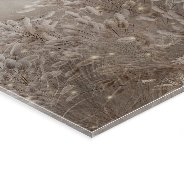 Acrylglasbild Pampasgras und Gräser in Beige - Ms Tiff 