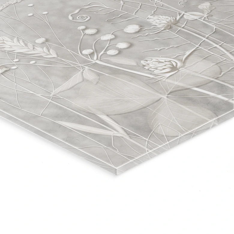 Acrylglasbild Pflanzen in Weiß im modernen Design - Ms Tiff 