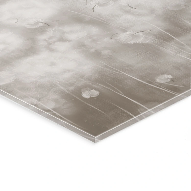 Acrylglasbild Pusteblumen Traum in Beige - Ms Tiff 