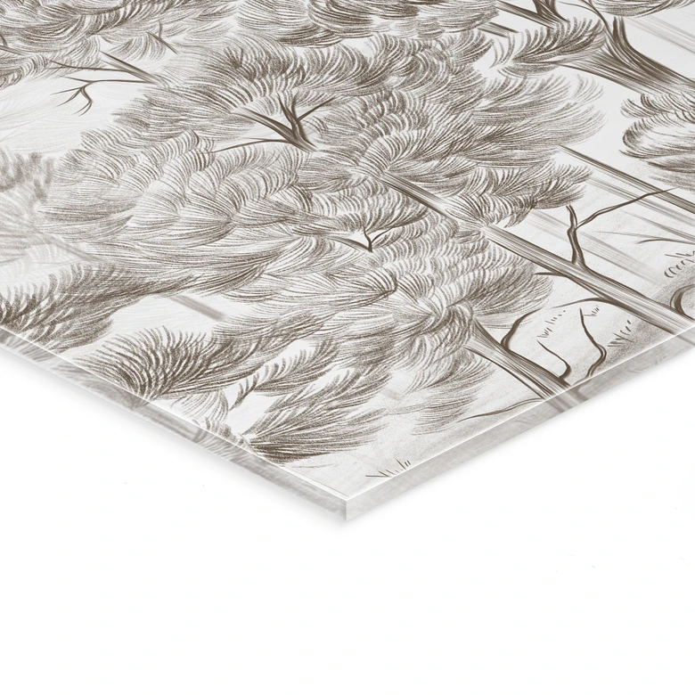 Acrylglasbild Wald mit Waldlandschaft in Beige - Ms Tiff 