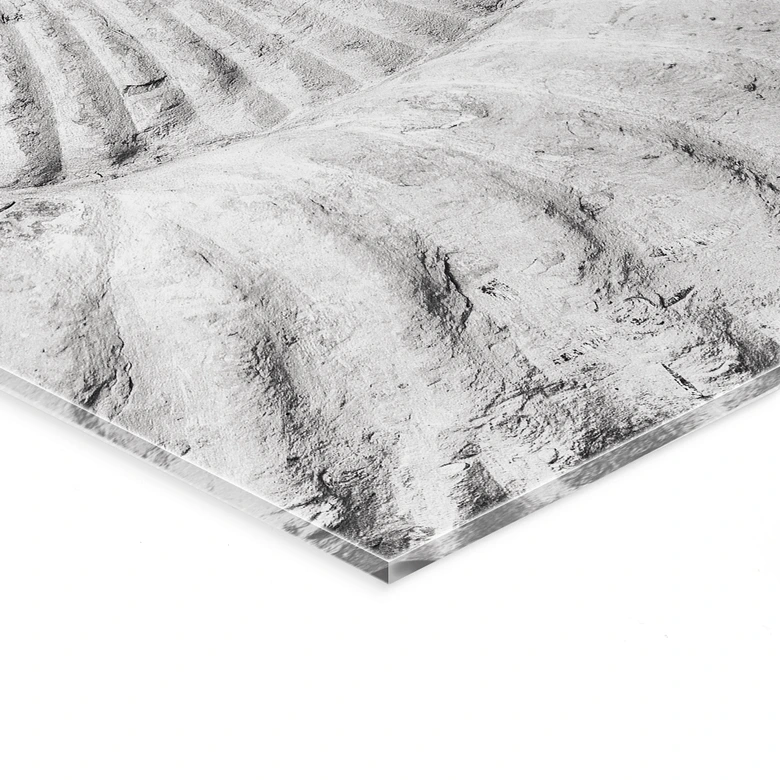 Acrylglas Fossile Muschel - Shot by Clint 