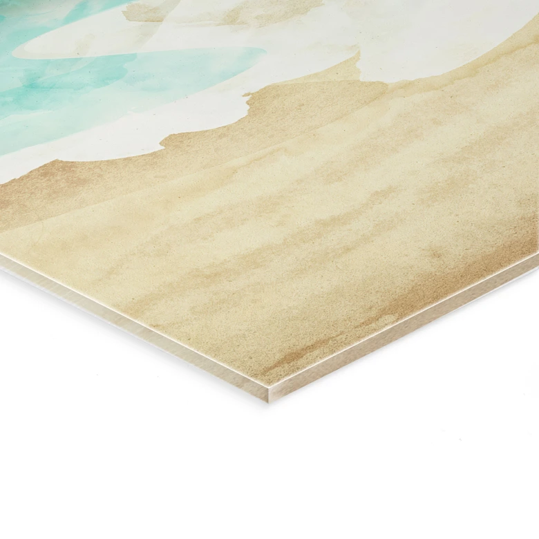 Acrylglasbild Möwen am Strand - SpaceFrog Designs 