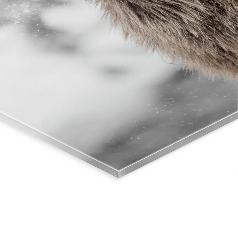 Acrylglasbild Hirsch im Schneegestöber - Strigel 