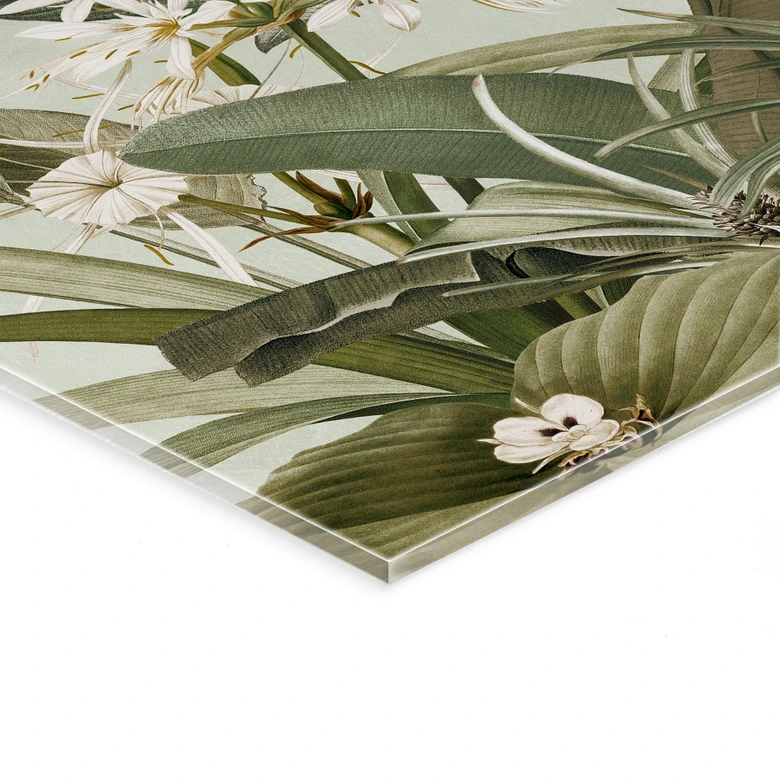 Tableau sur verre acrylique Botanique tropicale - UN Designs 
