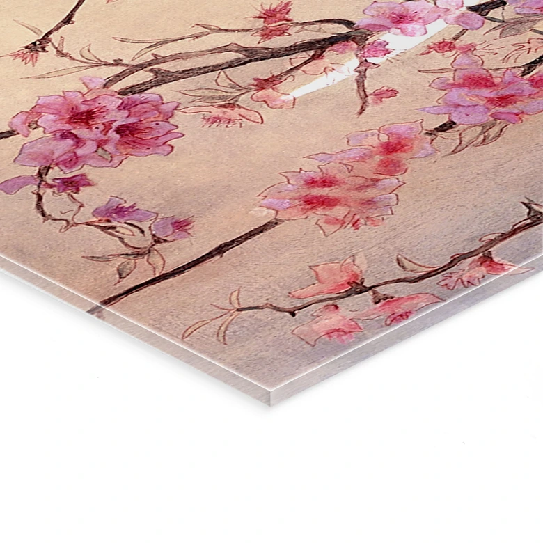 Tableau en verre acrylique - Coleman - Primavera - Panorama 