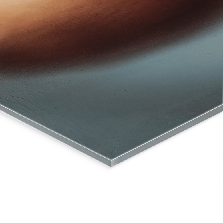 Acrylglasbild Boho Trockenblume Makro - Treechild - Panorama 