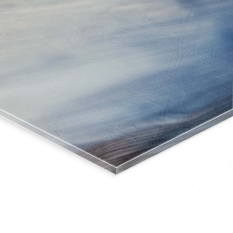 Acrylglasbild Filigrane Trockenblüten im Licht - Treechild - Panorama 