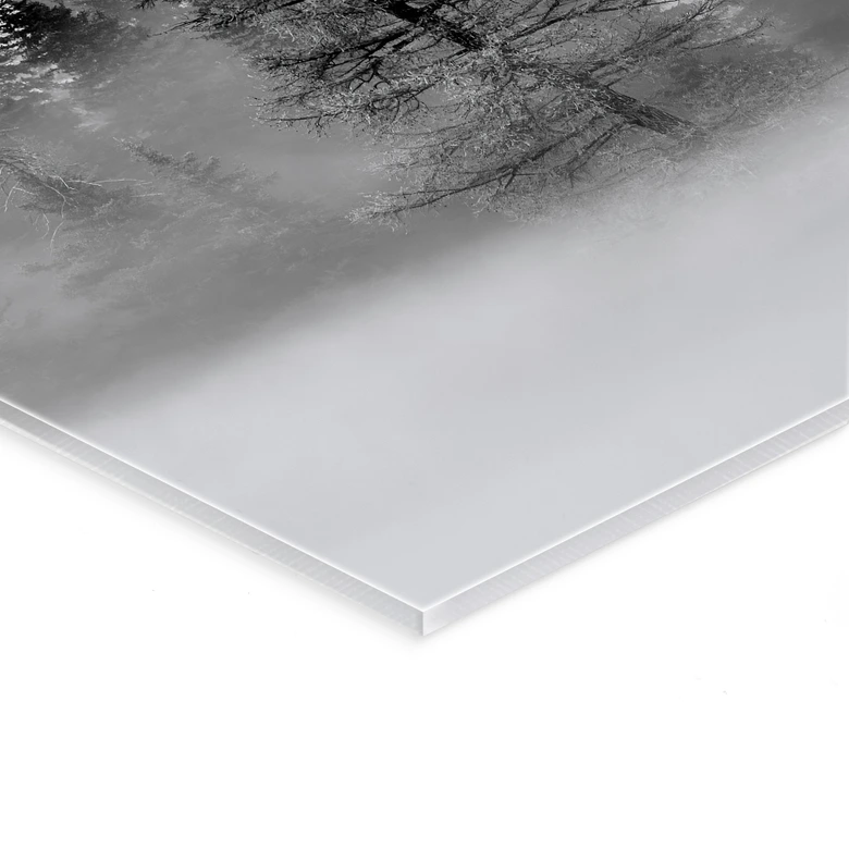 Tableau sur verre acrylique Xu - Foggy Forest 