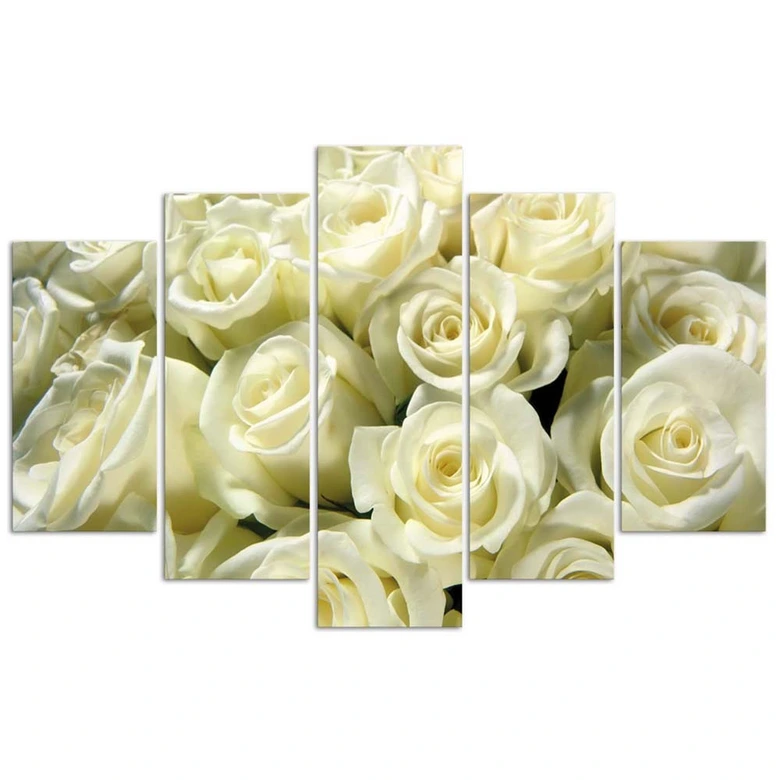 Leinwandbild 5 teilig, Weiße Rosen Blumen Natur 