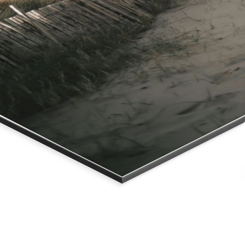 Wandbild Dünenlandschaft an der Nordsee - Annie - Alu-Dibond 