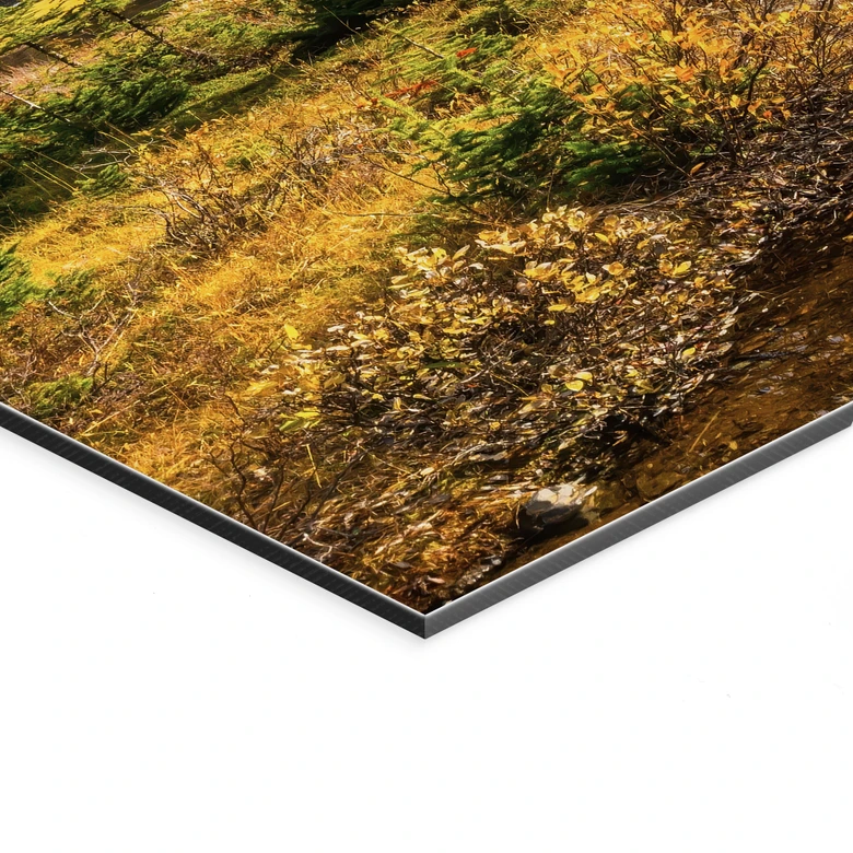 Wandbild Berg-Idylle am zauberhaften Kiefernwald - Alu-Dibond 