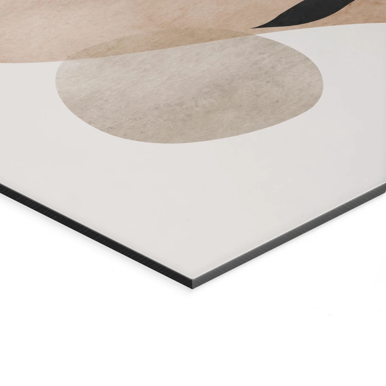 Wandbild Botanische Silhouette mit kunstvoller Geometrie - Costa - Alu-Dibond 