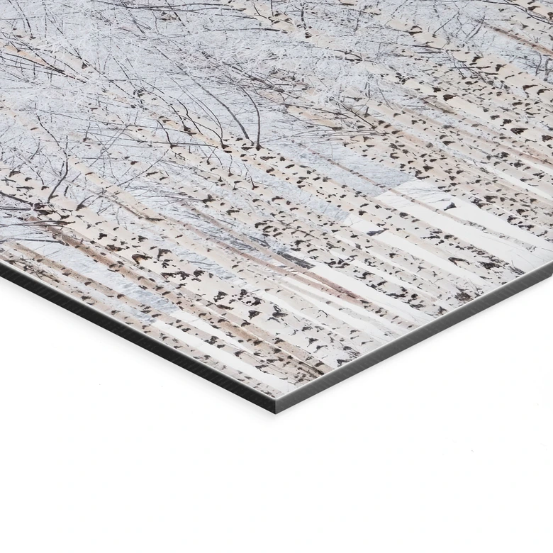 Wandbild Birkenwald im Winter - EMELIEmaria - Alu-Dibond 