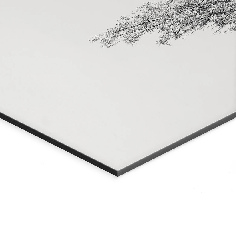 Wandbild Minimalistischer Baum in ruhiger Landschaft - Flour - Alu-Dibond 