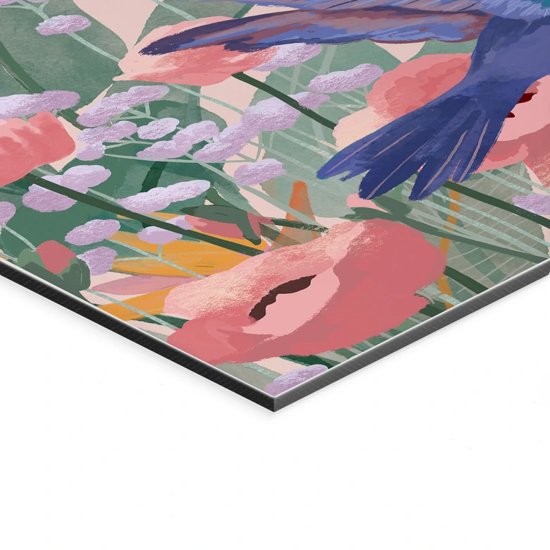 Wandbild Zwei Kolibris auf der bunten Blumenwiese - Goed Blauw - Alu-Dibond 