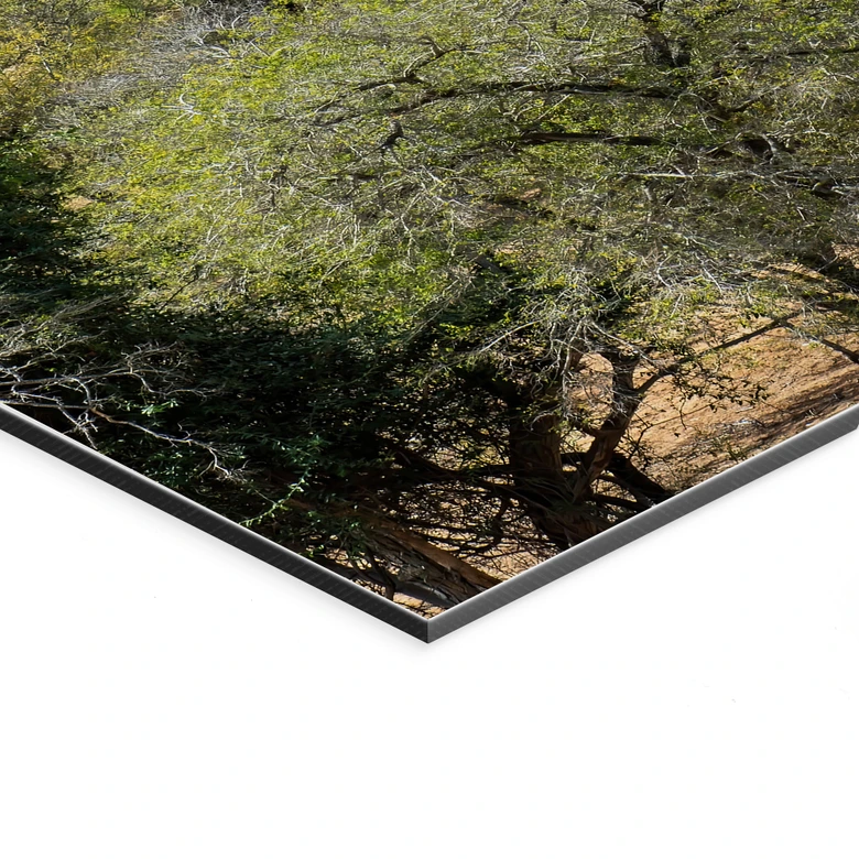 Wandbild Savannenlandschaft in Afrika - Hugonnard - Alu-Dibond 