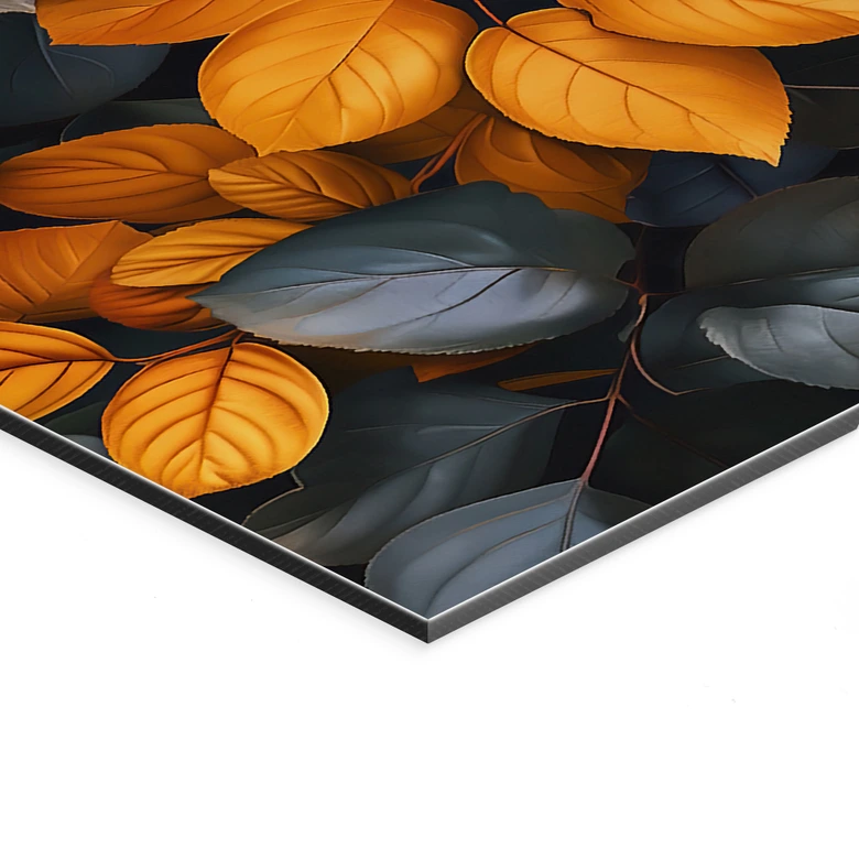 Tableaux Feuilles lumineuses en automne - Jaszke - Alu-Dibond 