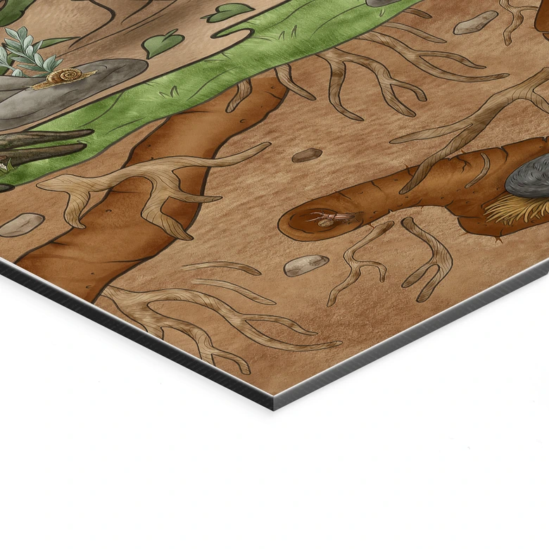 Wandbild Wimmelbild Waldtiere - Kikki Belle - Alu-Dibond 