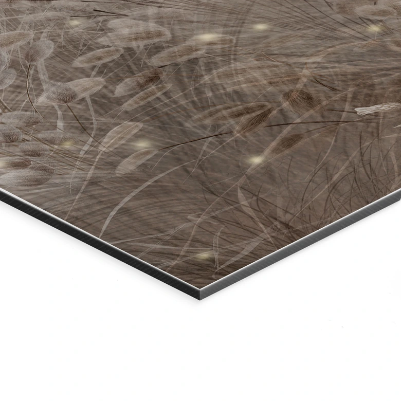 Wandbild Pampasgras und Gräser in Beige - Ms Tiff - Alu-Dibond 