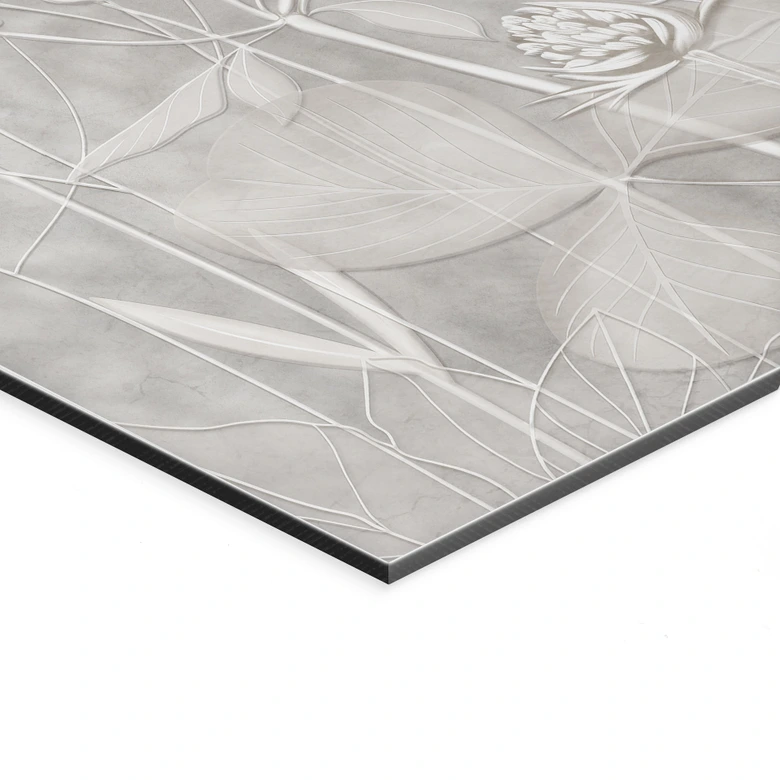 Wandbild Pflanzen in Weiß im modernen Design - Ms Tiff - Alu-Dibond 