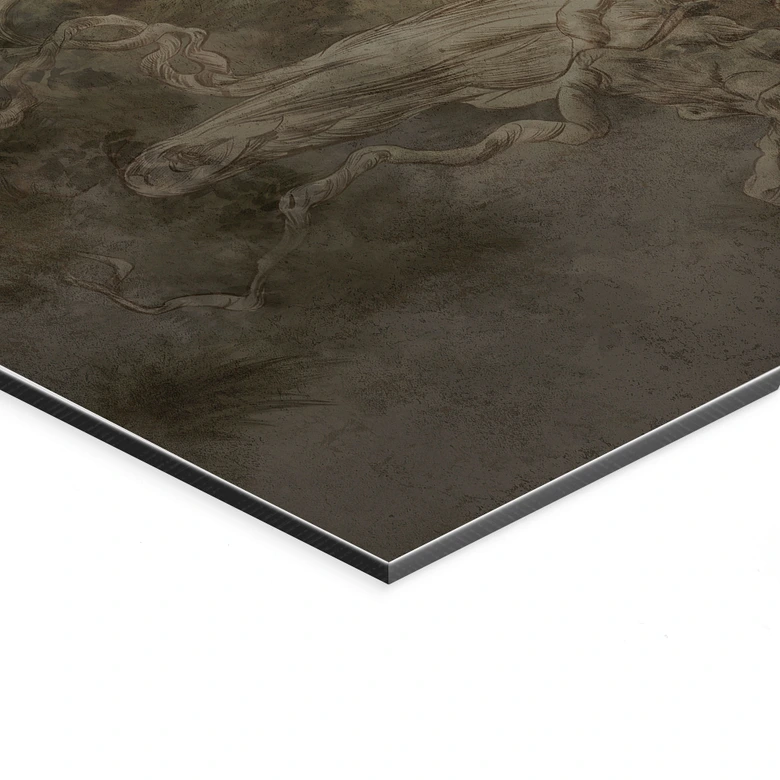 Wandbild Wald mit Blick in die Baumwipfel - Ms Tiff - Alu-Dibond 