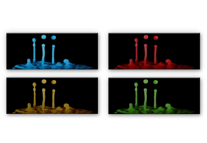Alu Dibond – De Kogel – Secret Elixir – panorama 