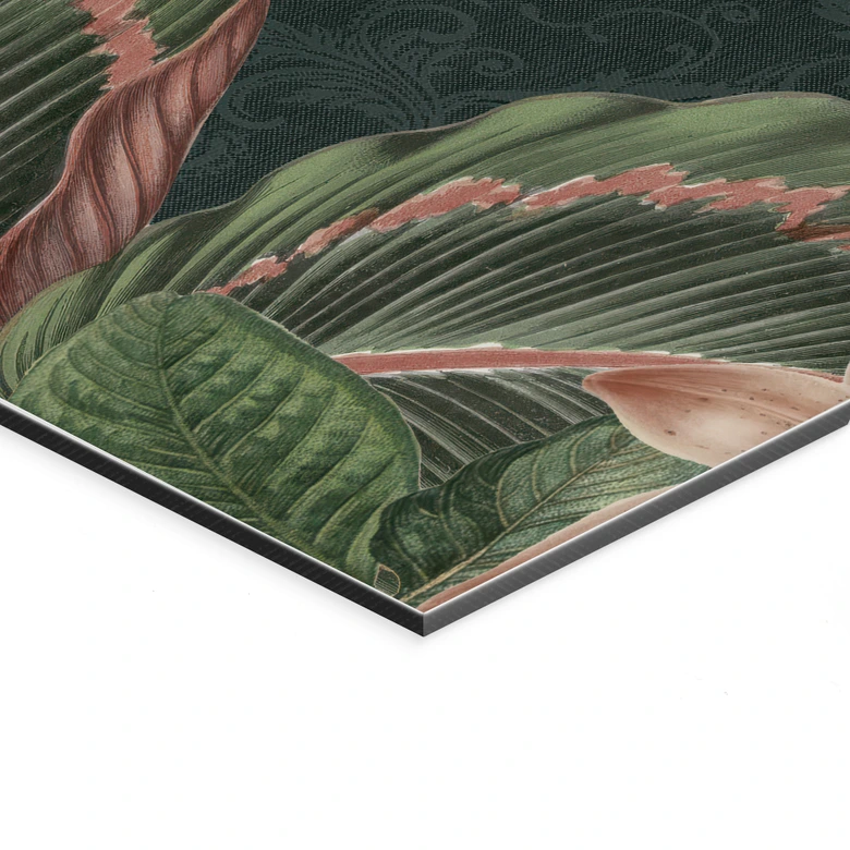 Wandbild Dschungel mit Papageien Nachtgrün - Bloomery Decor - Alu-Dibond Panorama 