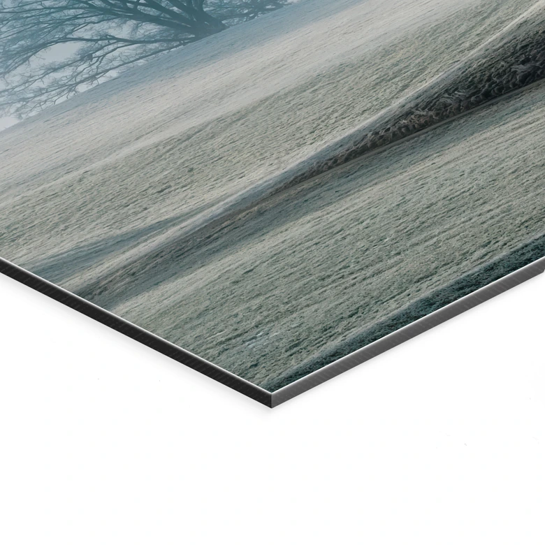 Wandbild Frostige Hügellandschaft - Eisenmann - Panorama - Alu-Dibond 