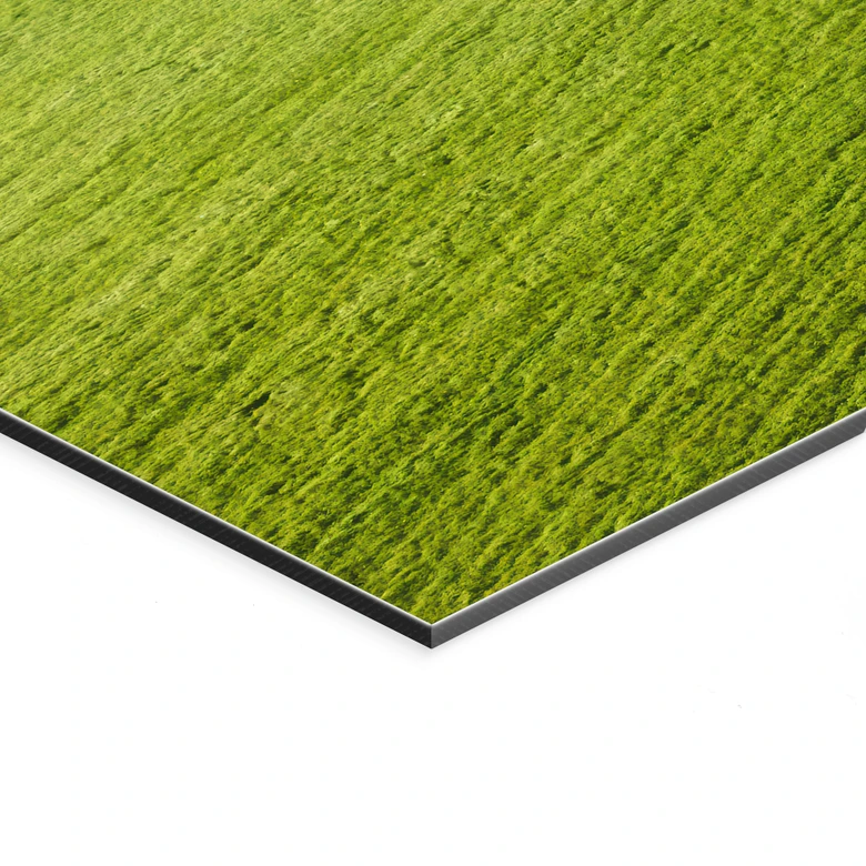 Wandbild Idyllische Felder im Nebel - Keller - Panorama - Alu-Dibond 