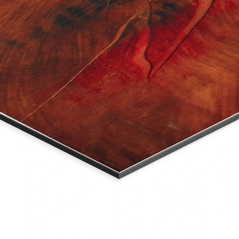 Wandbild Leuchtender Horizont am Wasser - Schmucker - Alu-Dibond Panorama 