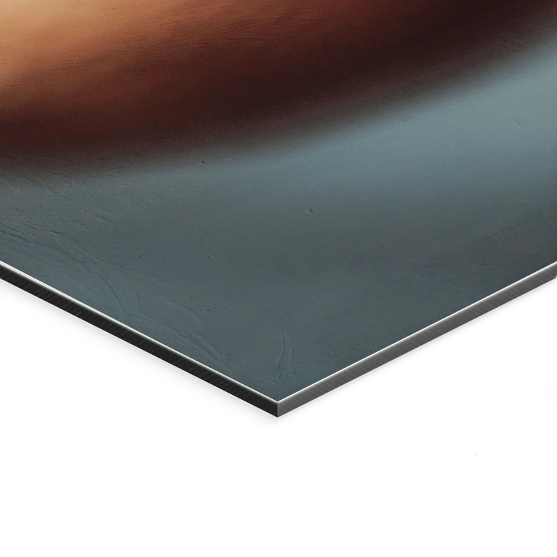 Wandbild Boho Trockenblume Makro - Treechild - Alu-Dibond Panorama 