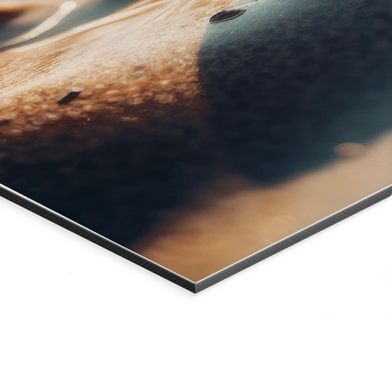 Wanddecoratie Schelpen op een zonnig strand - Treechild - Aluminium Dibond Panorama 