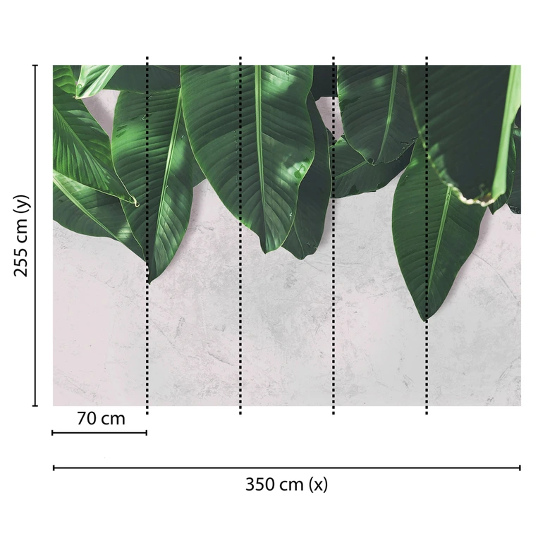 Livingwalls Fototapete Designwalls Leaves Wall Natur 