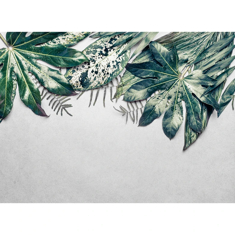 Livingwalls Fototapete Designwalls Leaves Variety Natur 