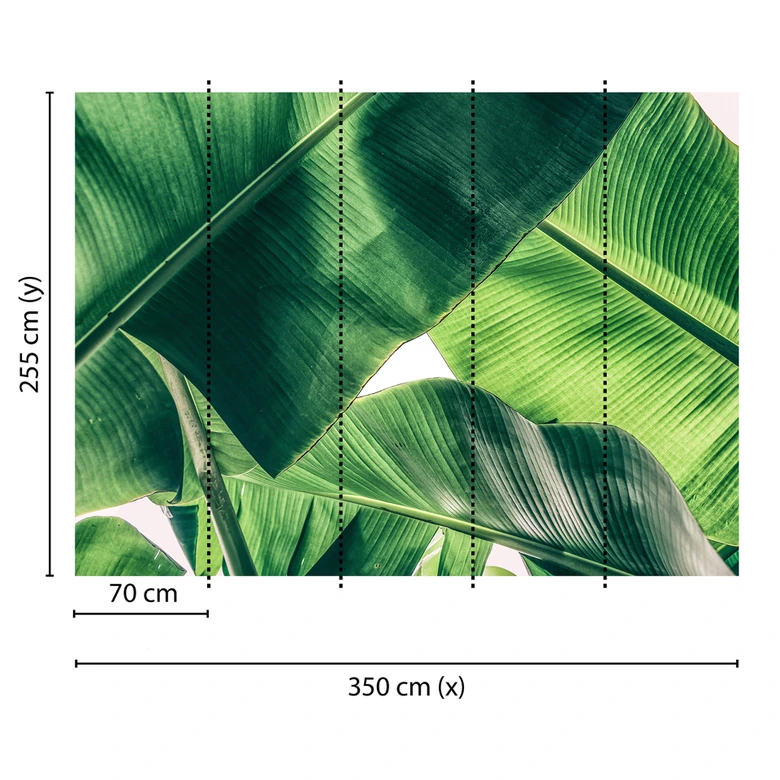 Livingwalls Fototapete Designwalls Broken Leaf Natur 