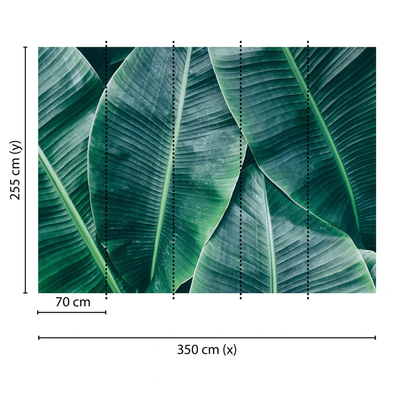 Livingwalls Fototapete Designwalls Banana Leaves Natur 