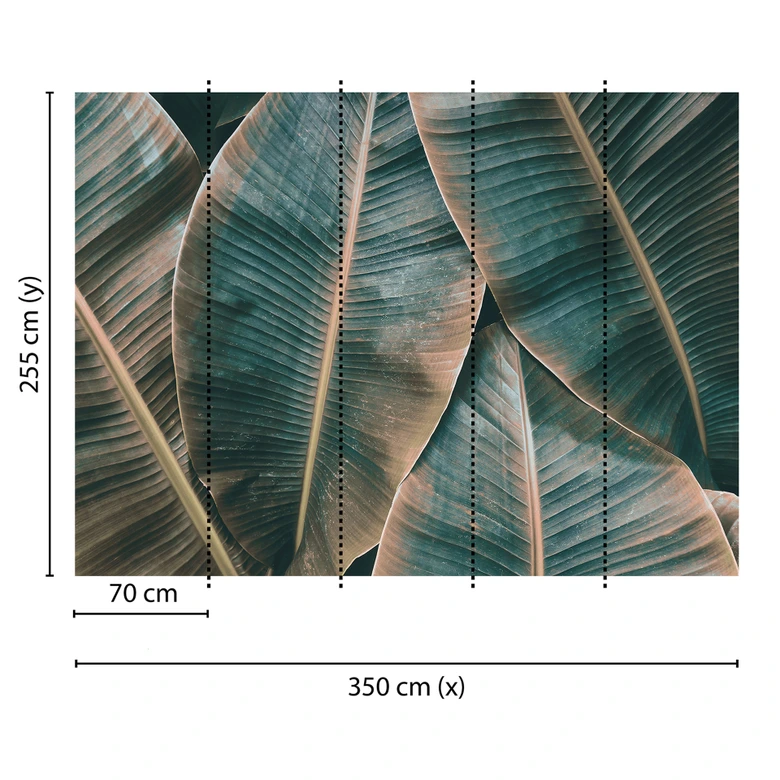 Livingwalls Fototapete Designwalls Banana Leaves Natur 