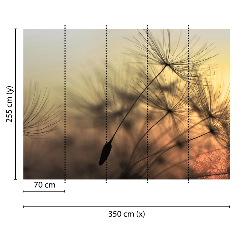 photo wallpaper designwalls in yellow and black non-woven wallpaper FlyingDandelion nature dandelion 