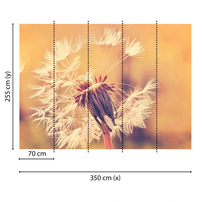 Wallpaper Designwalls in orange and white non-woven wallpaper Dandelion nature dandelion 