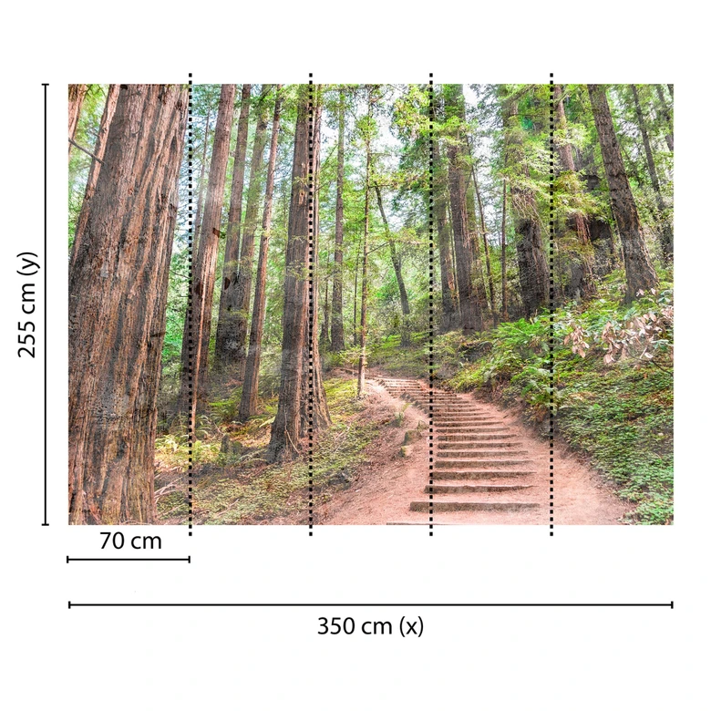 Livingwalls Fototapete Designwalls Forest Walk Wald 
