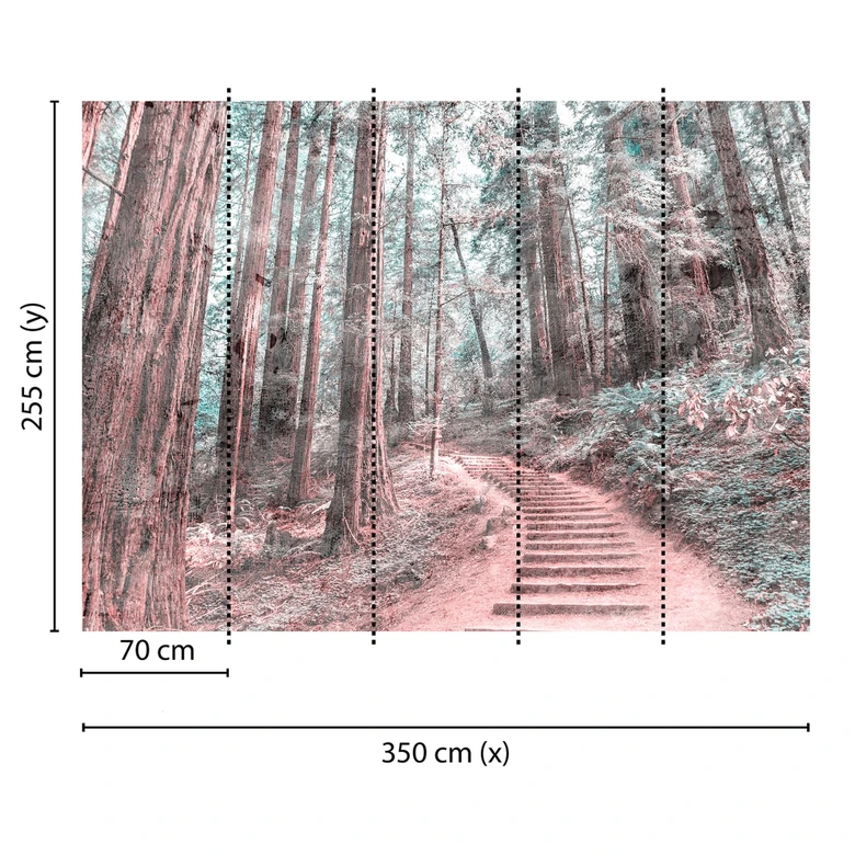 Livingwalls Fototapete Designwalls Forest Walk Wald 