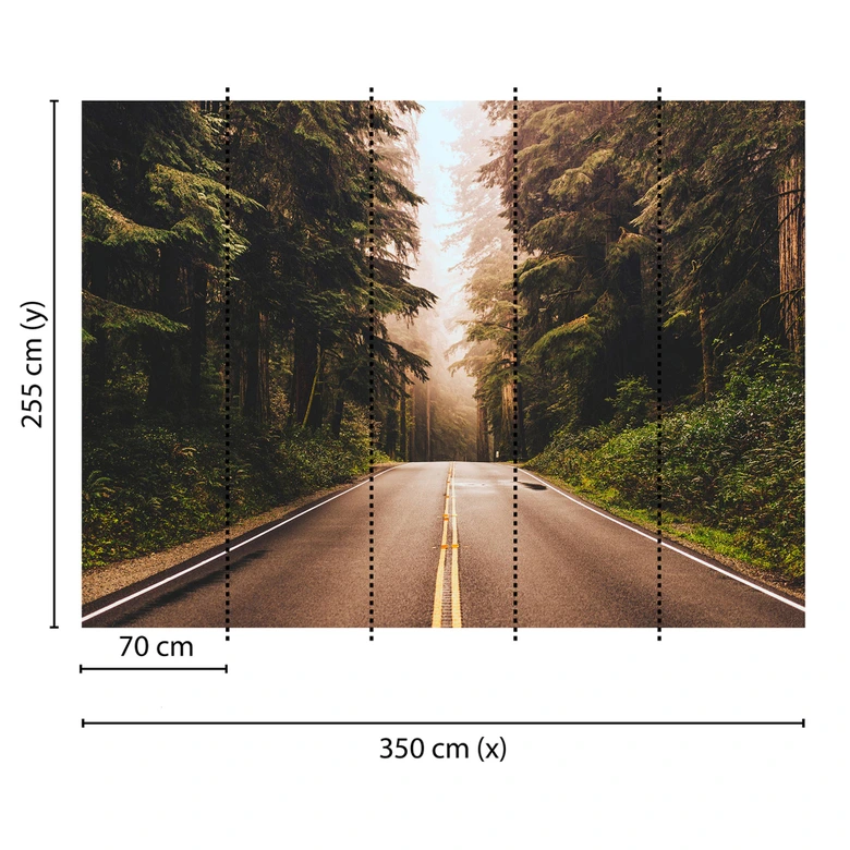Livingwalls Fototapete Designwalls Road Trip Wald 