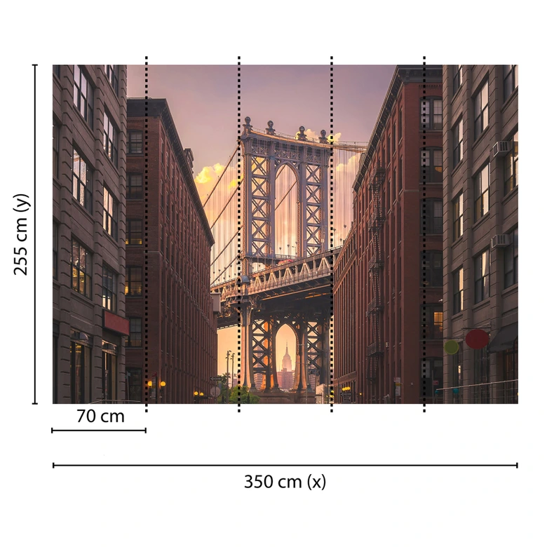 non-woven wallpaper BrooklynBridge Bridge New York photo wallpaper Designwalls in brown and grey  