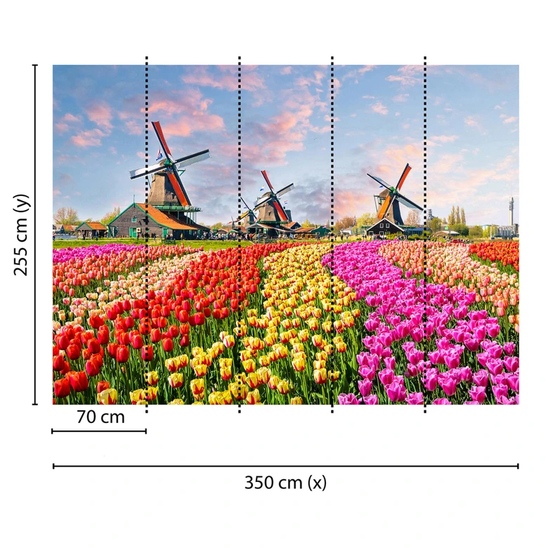 Livingwalls Fototapete Designwalls Zaanse Schans Blumen 