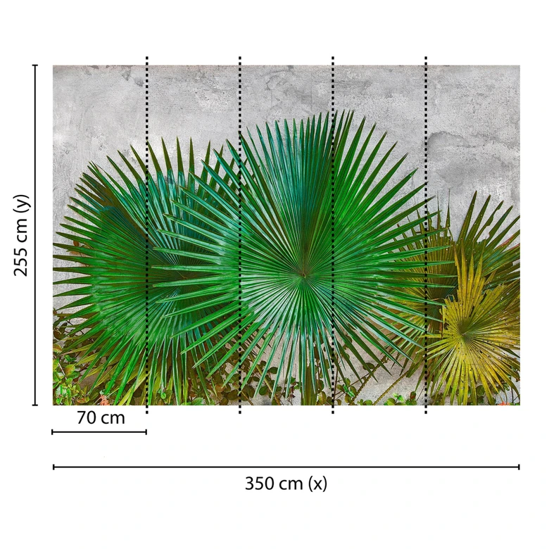 Livingwalls Fototapete Designwalls Agave Leaves Palmen 
