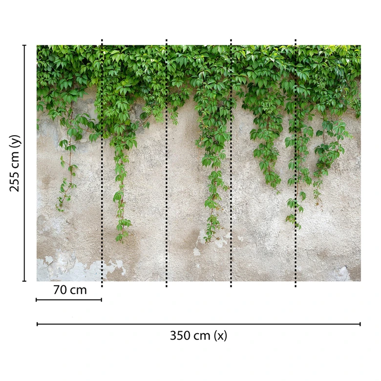 Livingwalls Fototapete Designwalls Climbing Leaves Natur 