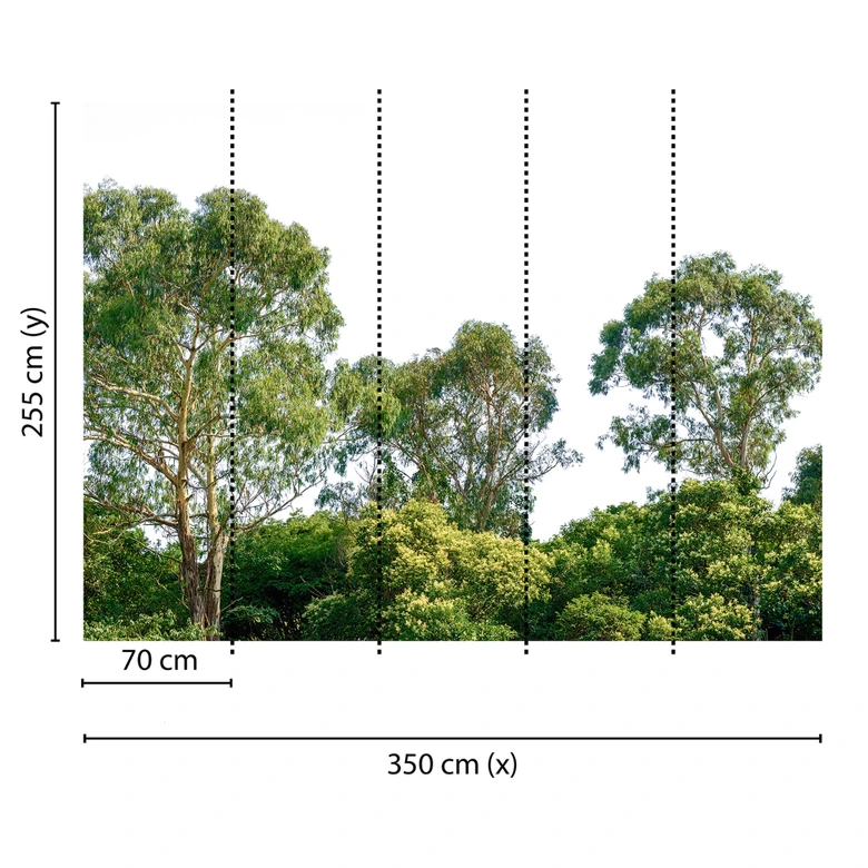 Livingwalls Fototapete Designwalls Treetop Wald 